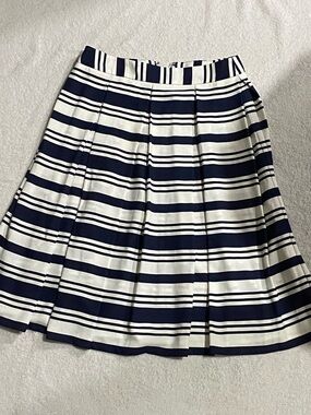 Roz & Ali Striped Navy and White Pleated A-Line Skirt